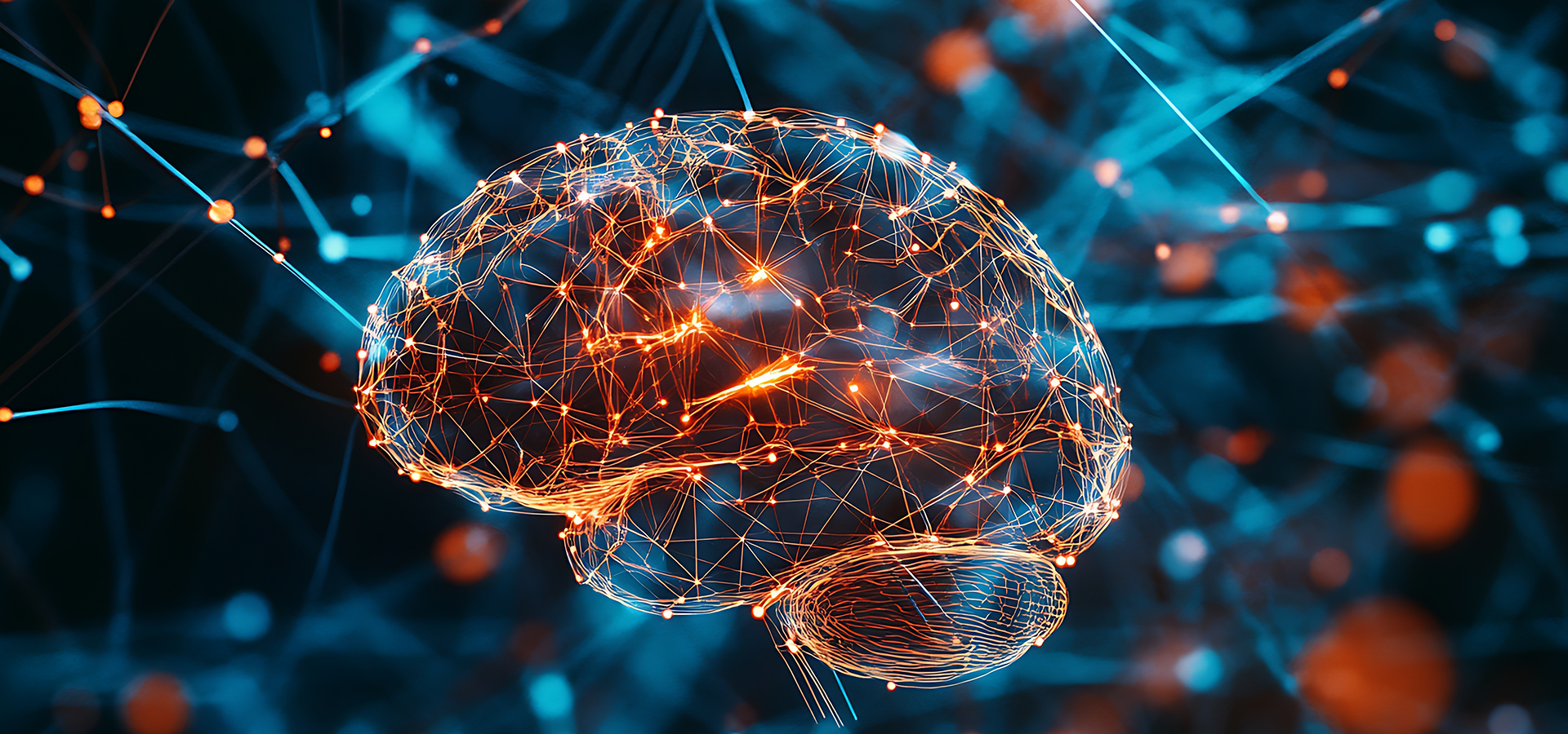 Educação e Neurociência