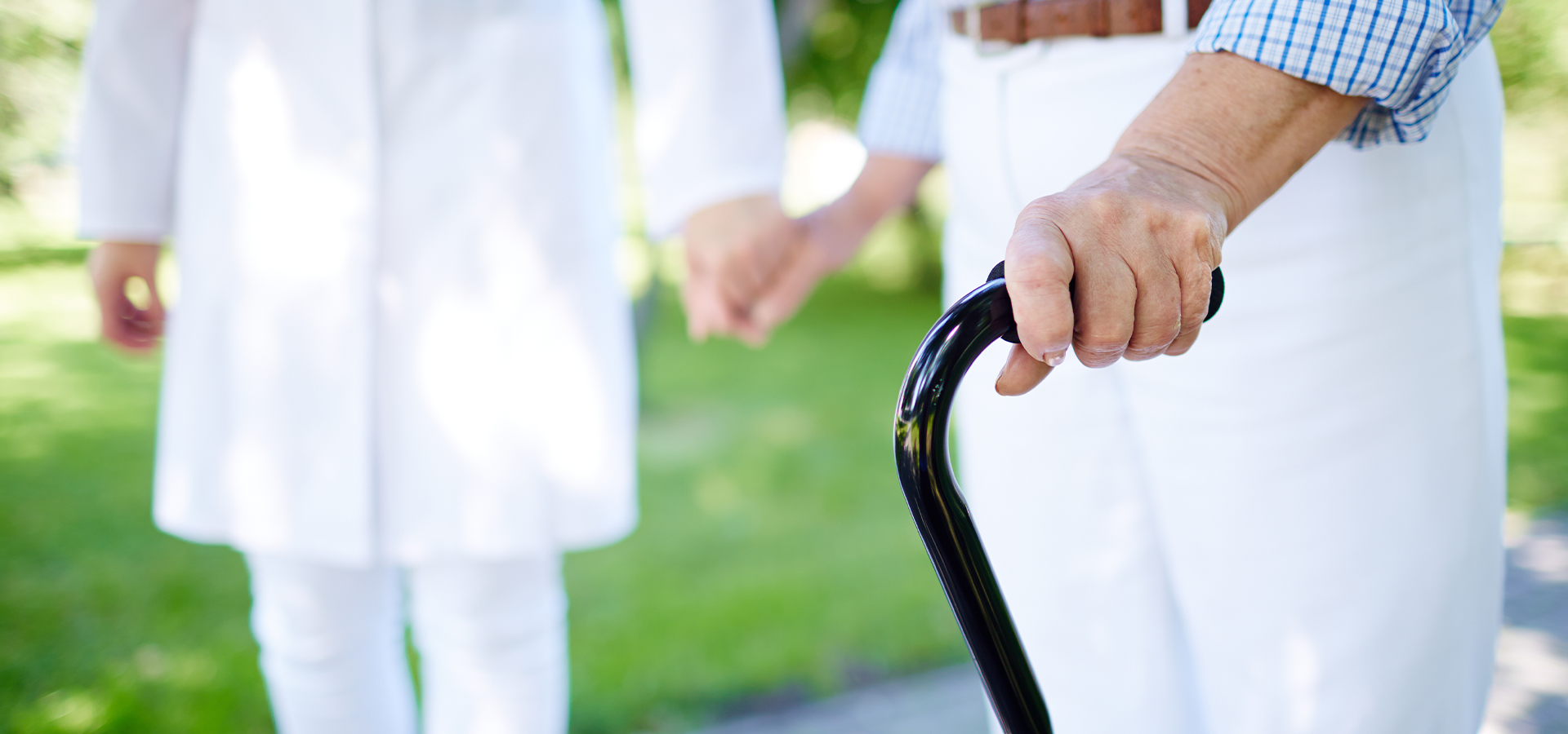 Saúde Integral do Idoso: Nutrição, Cuidados e Políticas Vigentes