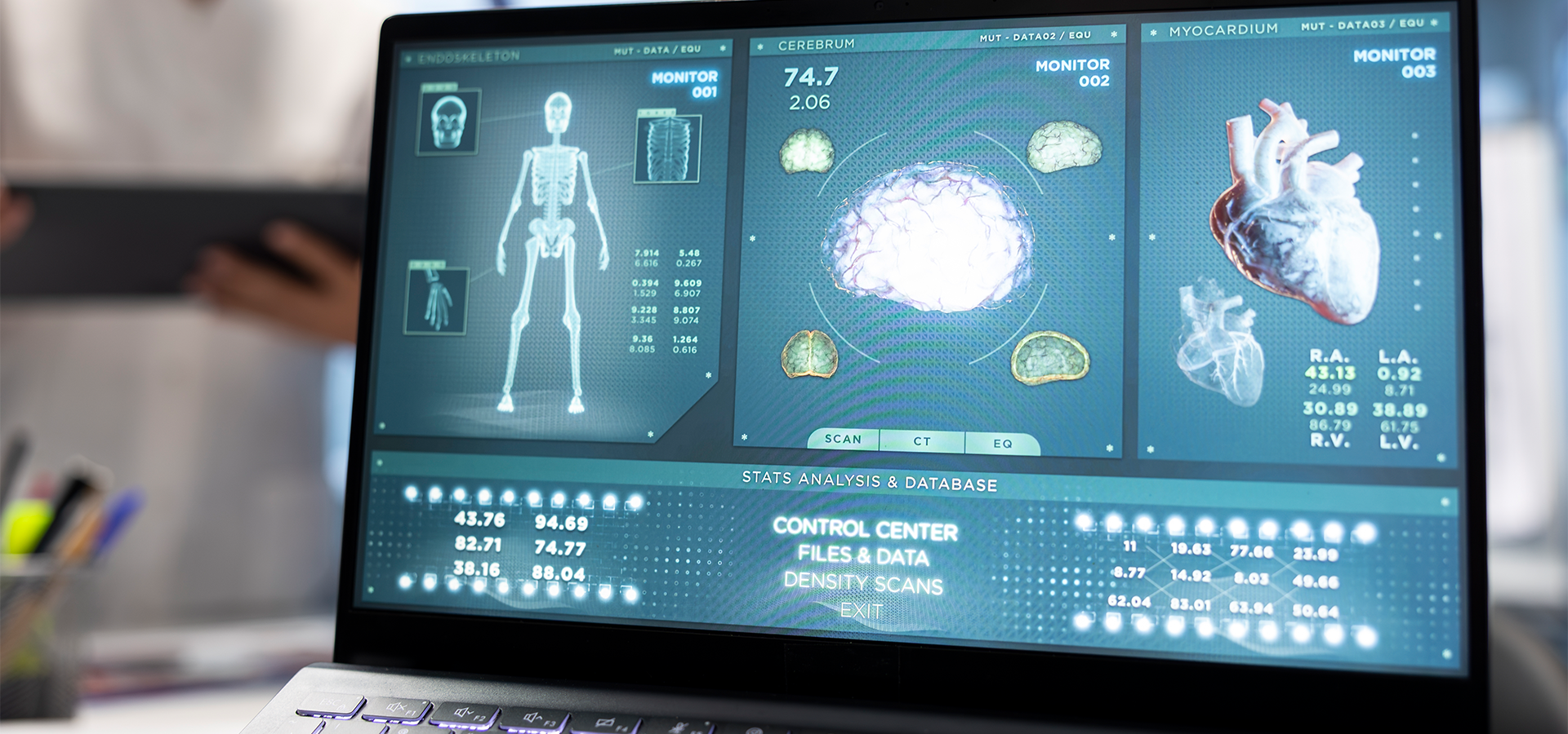 Anatomia Funcional: Estruturas e Sistemas Corporais