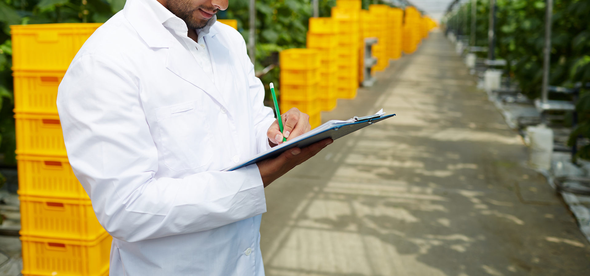 Consultor de Alimentos & Gestão em Uan: Segurança e Qualidade