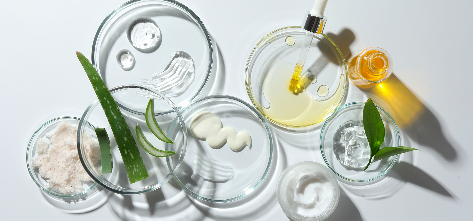 Bases Dermocosméticas: Formulações e Ativos