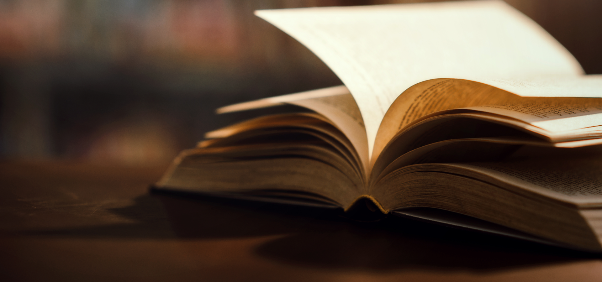 Letras (Português / Inglês)