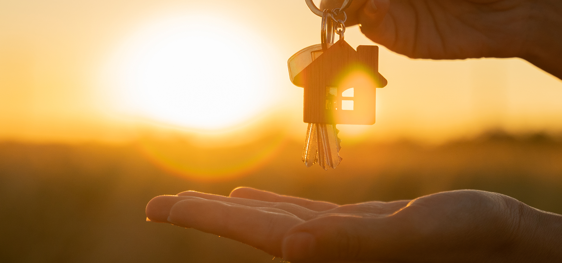 Negócios Imobiliários