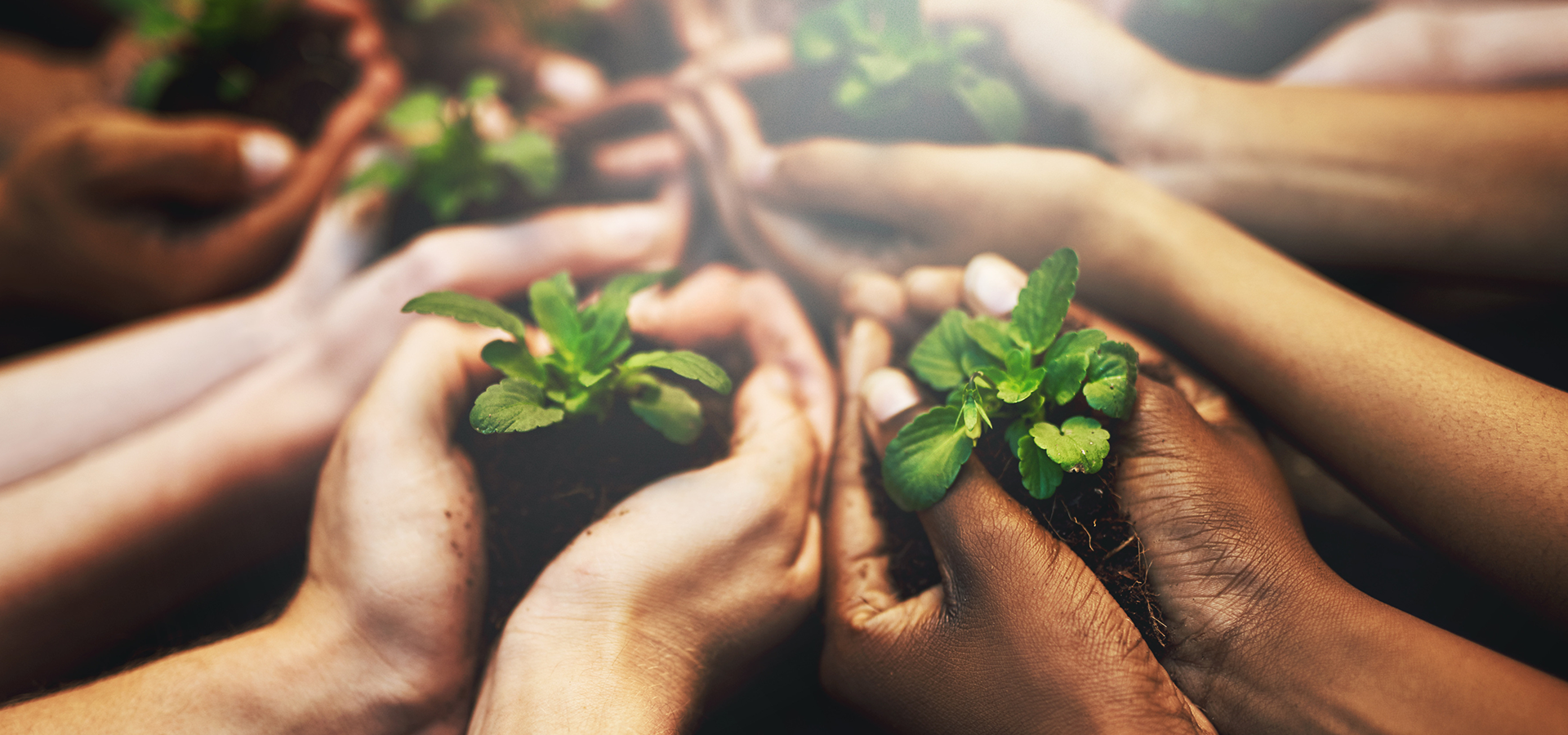 Serviço Social e Sustentabilidade