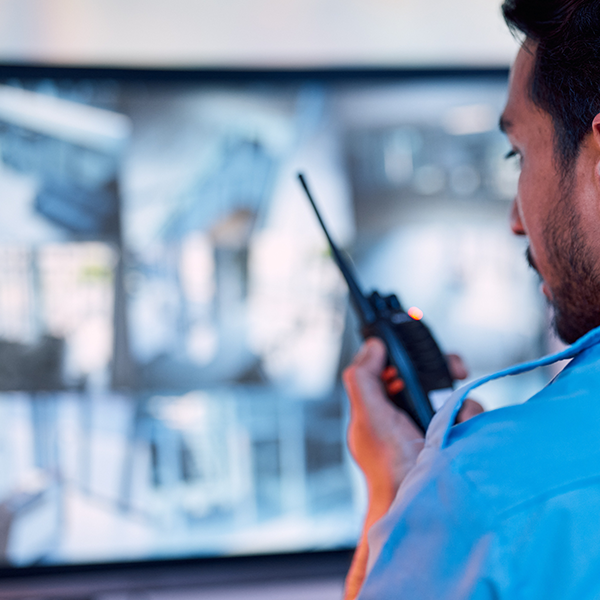 Gestão de Segurança Privada