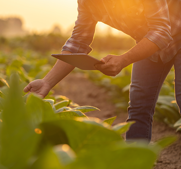 Gestão do Agronegócio