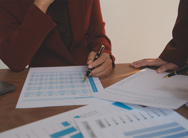 Auditoria Profissional: da Teoria à Prática com Foco em Empresas de Capital Aberto