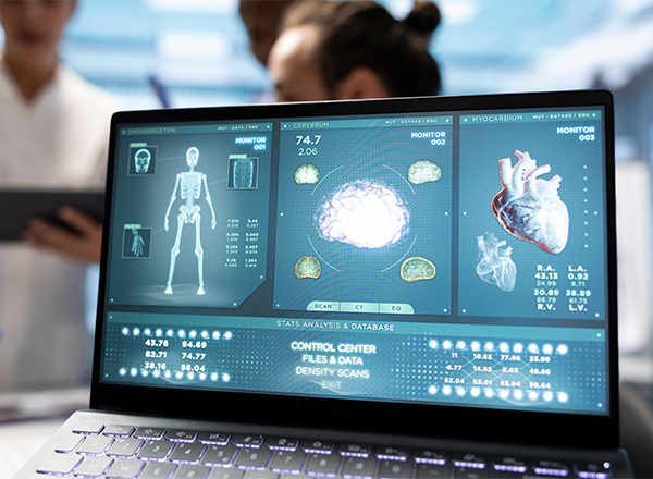Anatomia Funcional: Estruturas e Sistemas Corporais