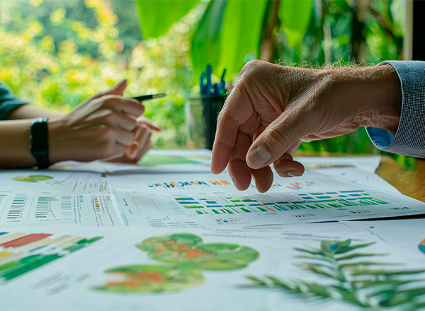 Indicadores Socioambientais: Estatística Básica na Prática