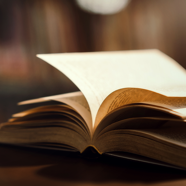 Letras (Português / Inglês)