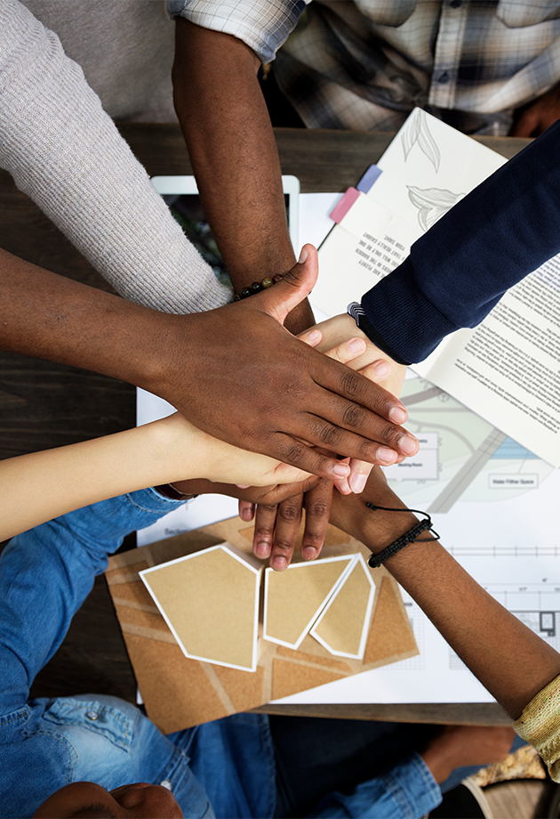 Analista de Projetos Sociais