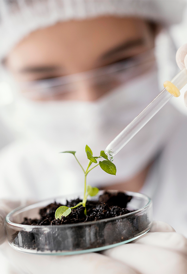 Analista Ambiental em Saúde